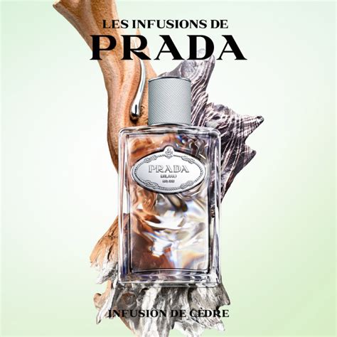 prada infusion de rose eau|prada infusion cedar.